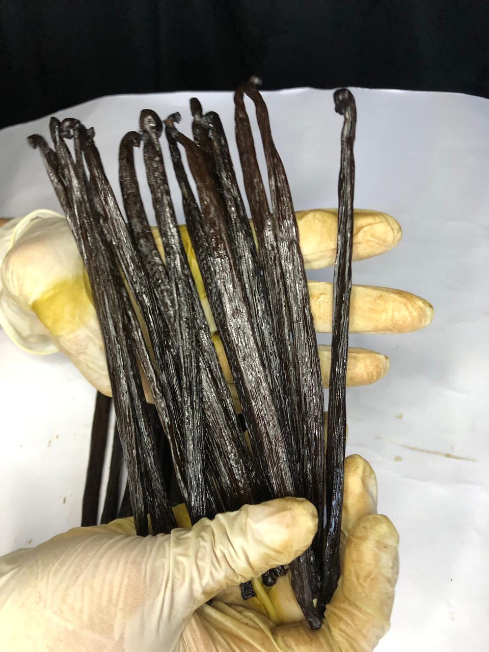 Vanilla Planifolia Java Grade A from Indonesia